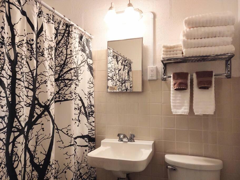 #02 - Unique Lakeside Studio Cottage- Pet Friendly 핫스프링스 외부 사진